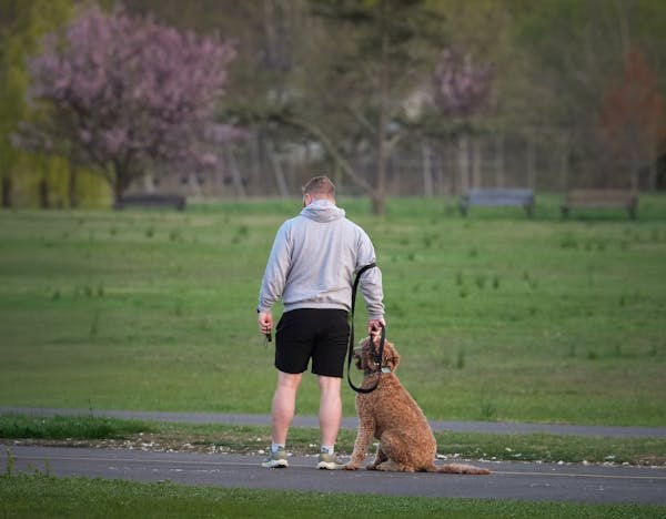 Laisse chien enrouleur : le choix idéal pour promener en toute sérénité.